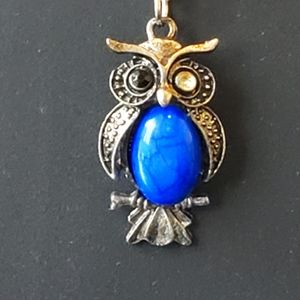 NWT Owl Necklace with Blue Stone and 20" Chain